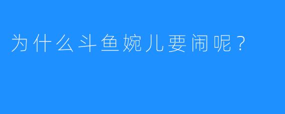 为什么斗鱼婉儿要闹呢？