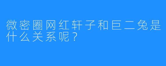 微密圈网红轩子和巨二兔是什么关系呢？