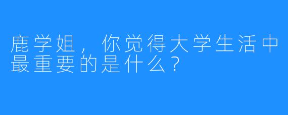 鹿学姐，你觉得大学生活中最重要的是什么？