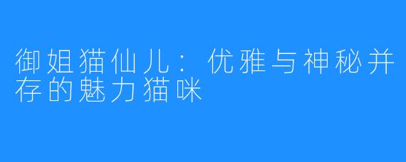 御姐猫仙儿：优雅与神秘并存的魅力猫咪