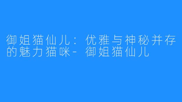 御姐猫仙儿：优雅与神秘并存的魅力猫咪-御姐猫仙儿